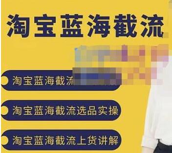 《淘宝蓝海截流攻略》淘宝蓝海截流选品上货实操讲解-渡漳网