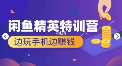 翼牛学堂 闲鱼项目精英特训营培训视频，月光族上班族的闲鱼赚钱课程-渡漳网
