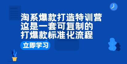 《淘系爆款打造特训营》这是一套可复制的打爆款标准化流程-渡漳网