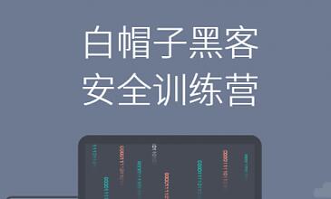 Web安全：白帽子黑客教学，安全训练营视频教程-渡漳网