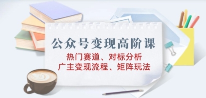 公众号变现高阶课，热门赛道、对标分析、广告主变现流程、矩阵玩法-渡漳网